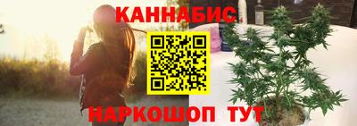 стафф Моздок